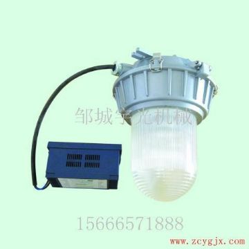 點擊查看詳細信息<br>標題：廠房應急照明燈DGS35/70-220 閱讀次數(shù)：2413